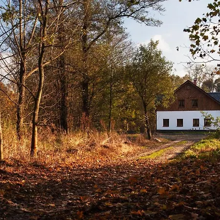 Terezka * Králíky